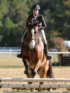 CofC Equestrian Places Fifth at Nationals; Hay wins Cacchione Cup