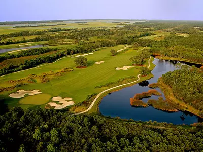 Cougars Host Eight Top 50 Teams at Briar's Creek Invitational