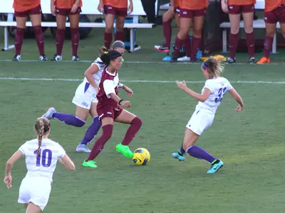 Cougars Down High Point In Exhibition Opener