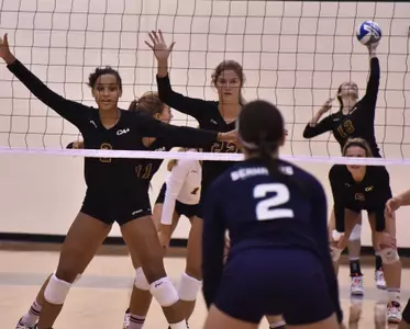 Cougars Comeback Falls Short at UNCW