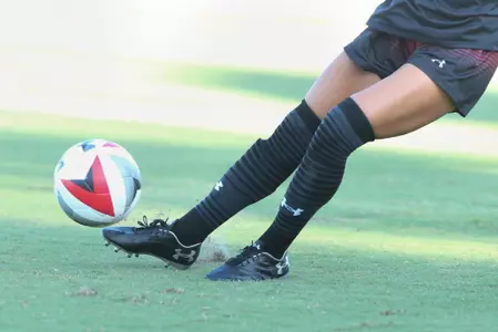 generic kick