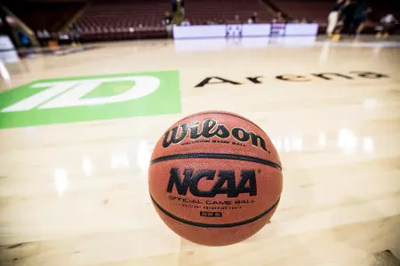 generic ball on court