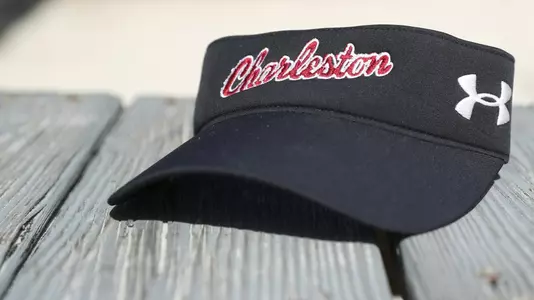 Visor