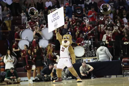 clyde the cougar