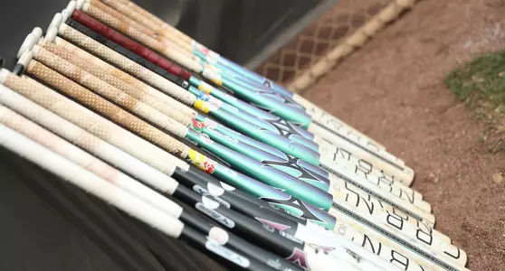Softball Bats