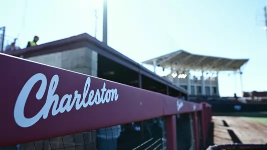 Charleston baseball padding