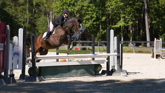 Equestrian jumping over fences.
