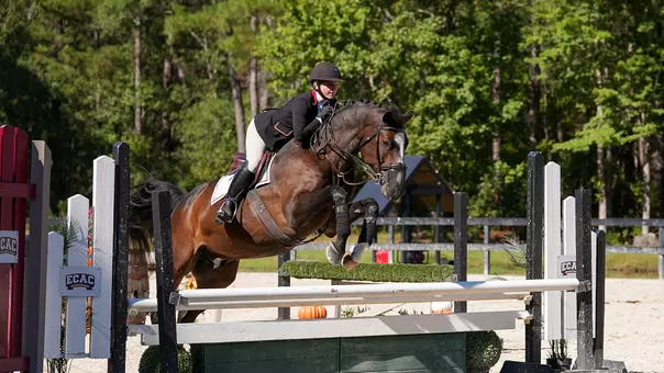 An NCEA equestrian student-athlete doing fences at a meet.