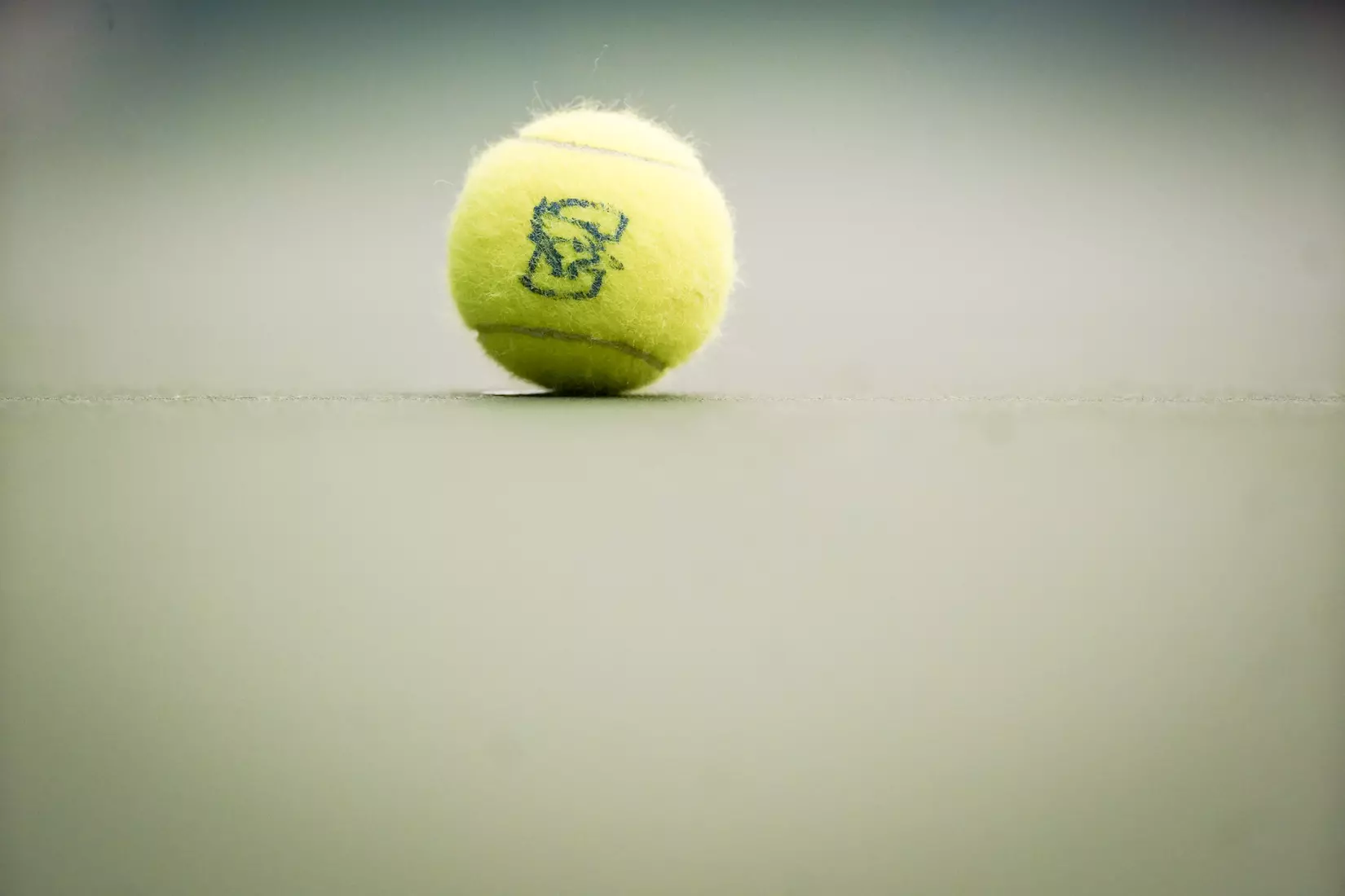 Logo Tennis Ball