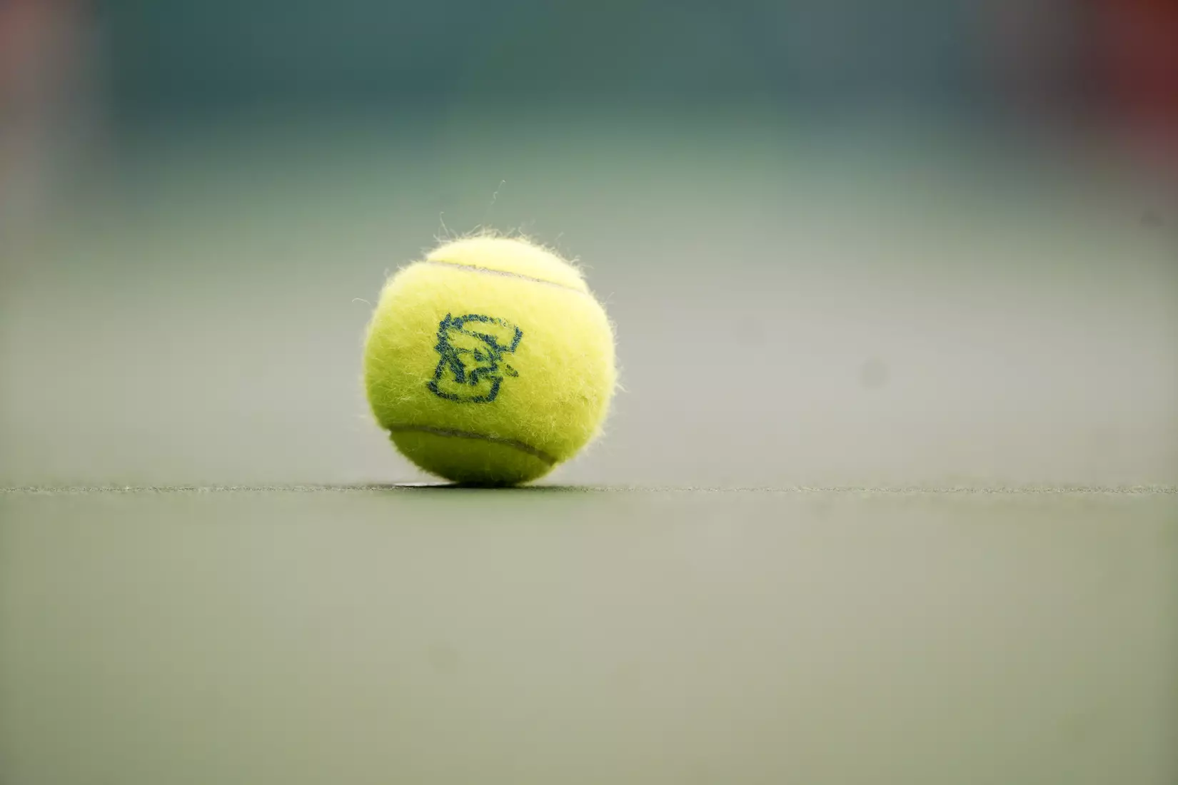 Logo Tennis Ball