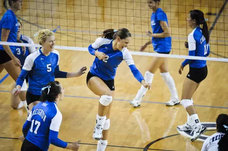 Volleyball Chips MAC Favorite Central Michigan