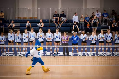 Volleyball Heads to Springfield Seeking First MVC Tournament Title