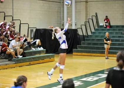 Volleyball Sweeps USF, Will Face Badgers For Tourney Title