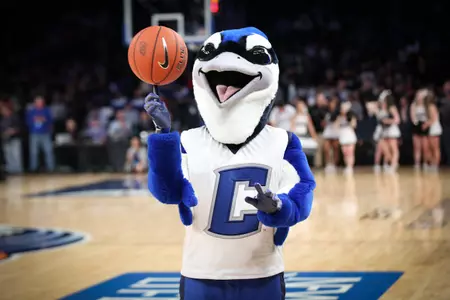 Billy Bluejay