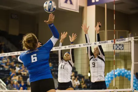 Volleyball Opens Long Homestand Friday vs. St. John's