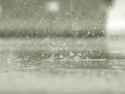 Rain GIF