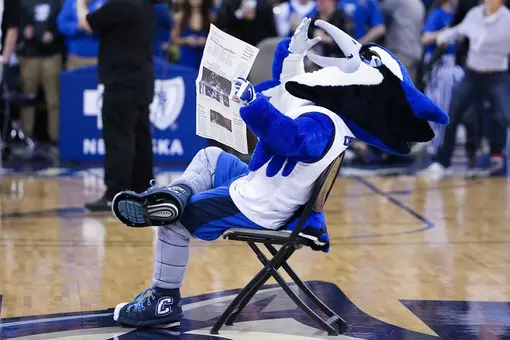 Billy Bluejay Yawning