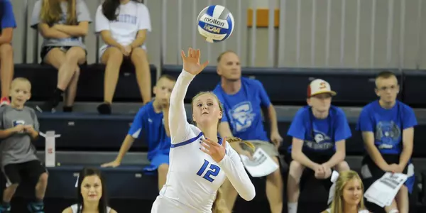 Taryn Kloth