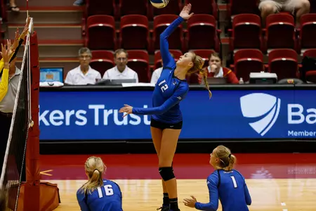 Taryn Kloth