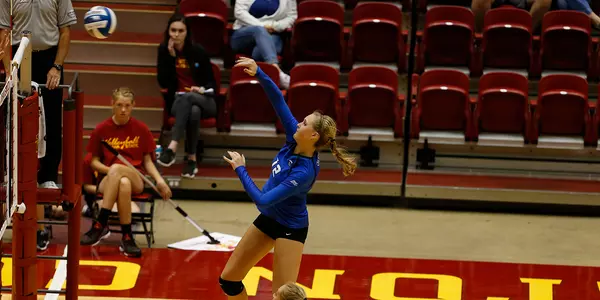 Taryn Kloth