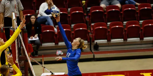 Taryn Kloth