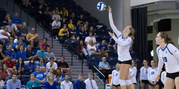 Taryn Kloth