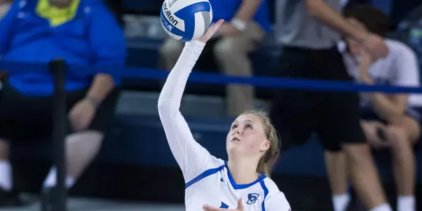 Taryn Kloth