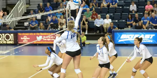 Taryn Kloth