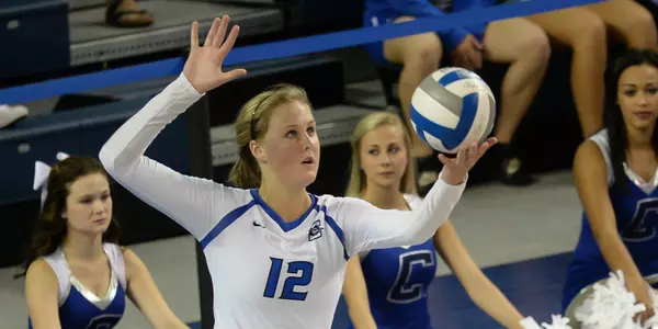 Taryn Kloth