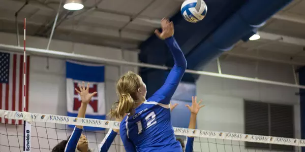 Taryn Kloth