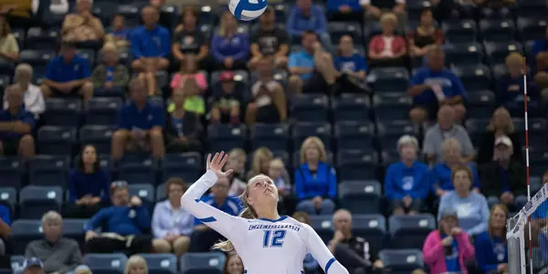 Taryn Kloth