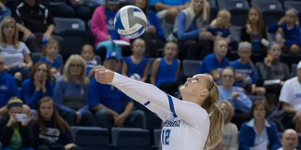 Taryn Kloth