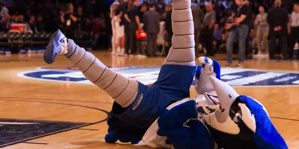 Billy Bluejay break dance spin