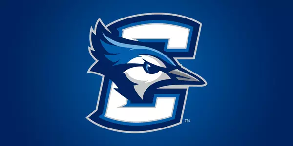 Generic Development Story Release