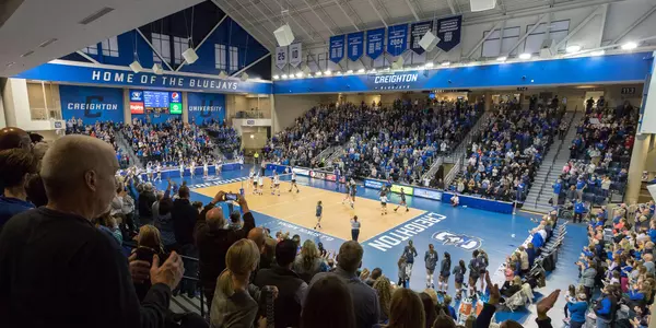 D.J. Sokol Arena court vbfloor floor