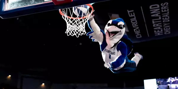 Billy Bluejay