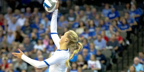 Taryn Kloth