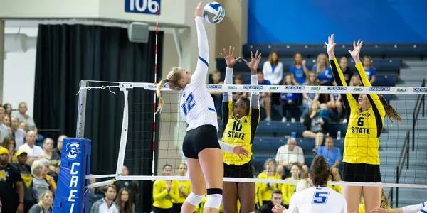 Taryn Kloth