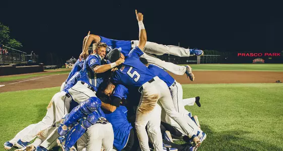 2019 BIG EAST Baseball Dog pile
