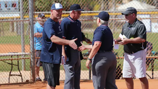 Vigness Madeira Beach