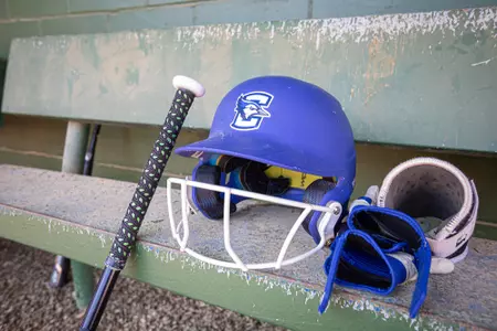 Softball equipment