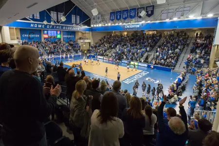 D.J. Sokol Arena Volleyball court floor