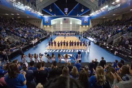 D.J. Sokol Arena Volleyball court floor
