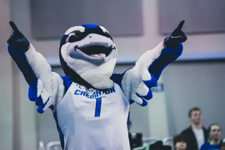 Billy Bluejay