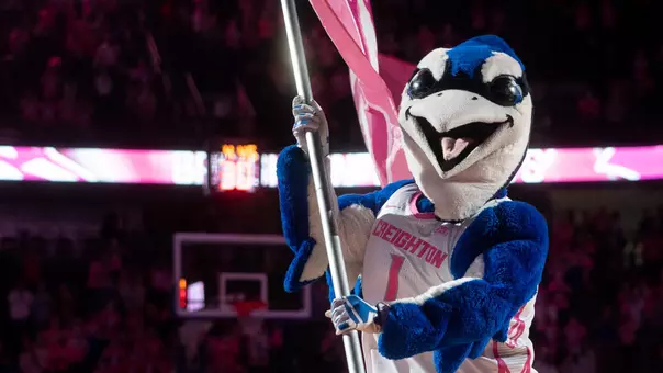 Billy Bluejay flag pink