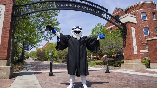 Billy Bluejay graduation cap gown degree