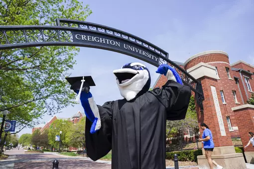 Billy Bluejay graduation cap gown degree