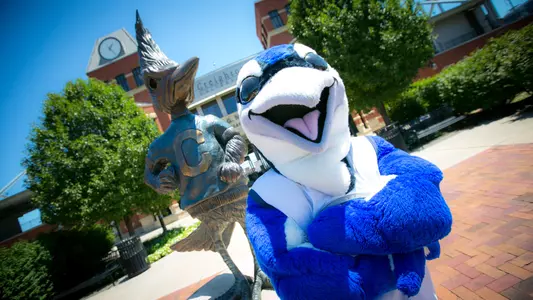 Billy Bluejay Banner Shoot