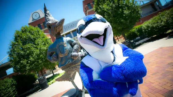 Billy Bluejay Banner Shoot