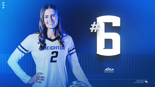 Volleyball #6